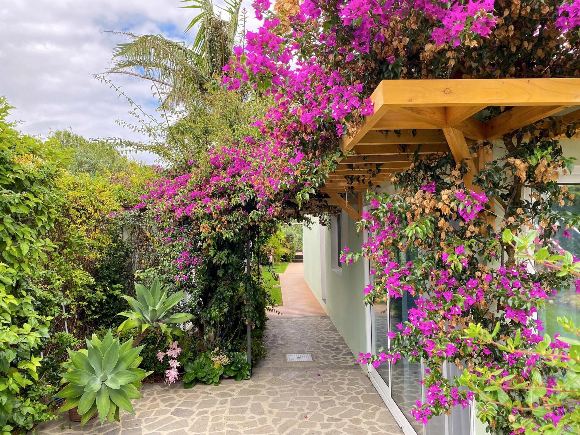 Terra Vivaz - Ribeira Cottage Ribeira Grande Exteriér fotografie